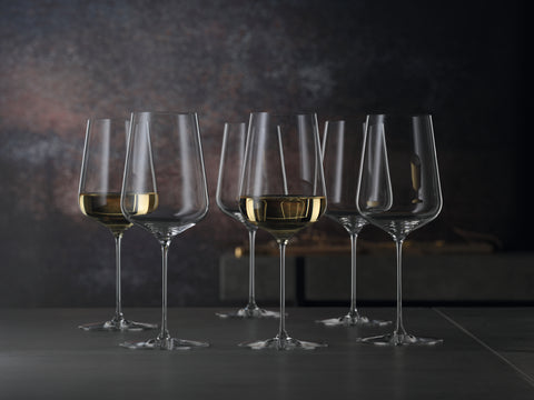 Spiegelau Definition Weißweinglas - Vitrum Vinum